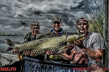 Crapmania - 2013